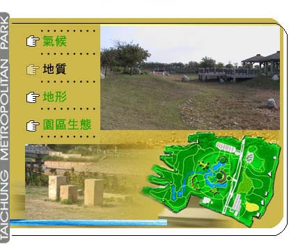 �������I����